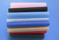 金沙涤纶（PET）无纺布是什么